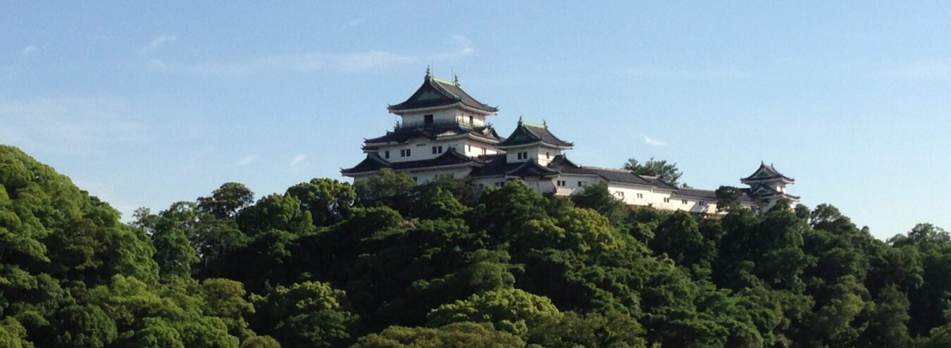 和歌山県NIE推進協議会